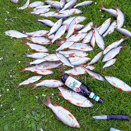 Tatil Evi Ferienhuette