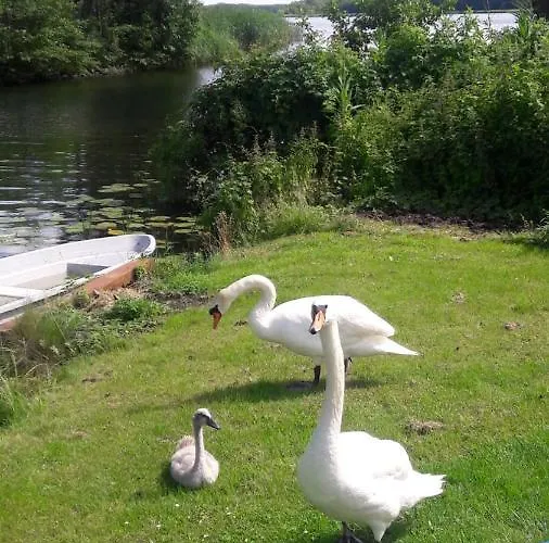 Vakantiehuis Ferienhuette *